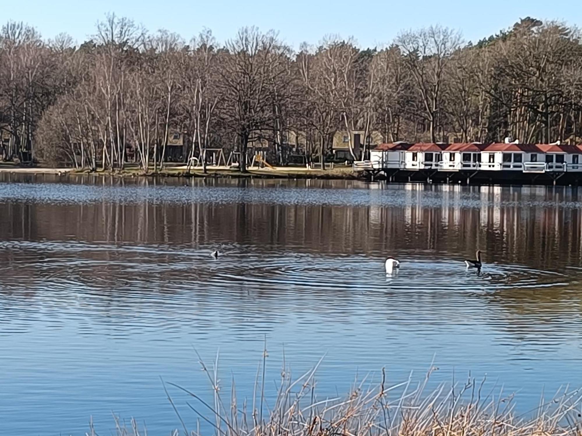 Lauwie 14 Lanaken Eksteriør billede